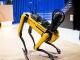 Xem chú chó robot của Boston Dynamics trở thành vận động viên thể dục dụng cụ